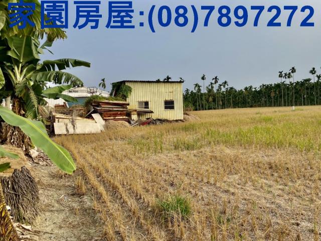 屏東農地-3