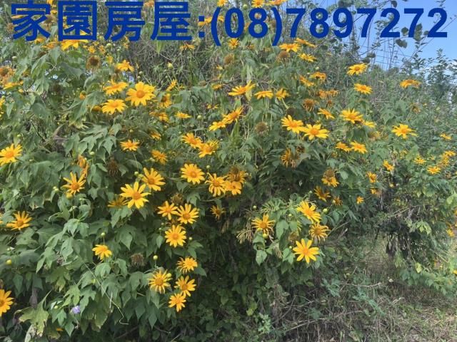 潮州農地-0
