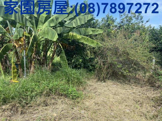 潮州農地-1