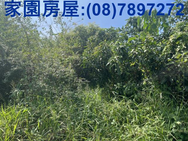 潮州農地-2