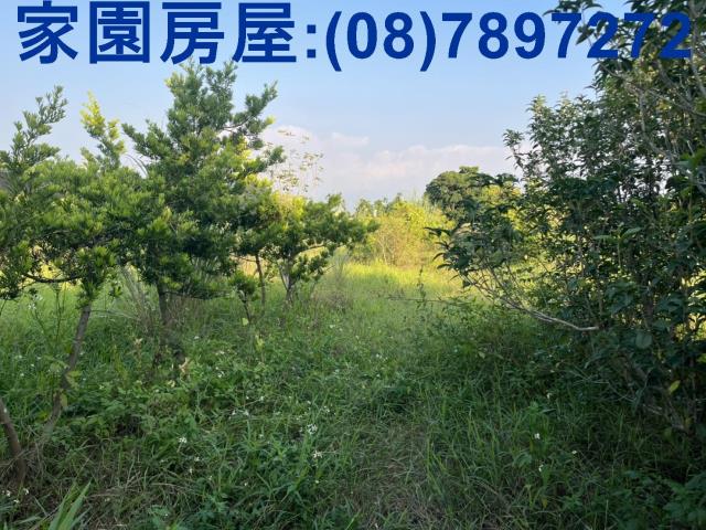 內埔農地-0