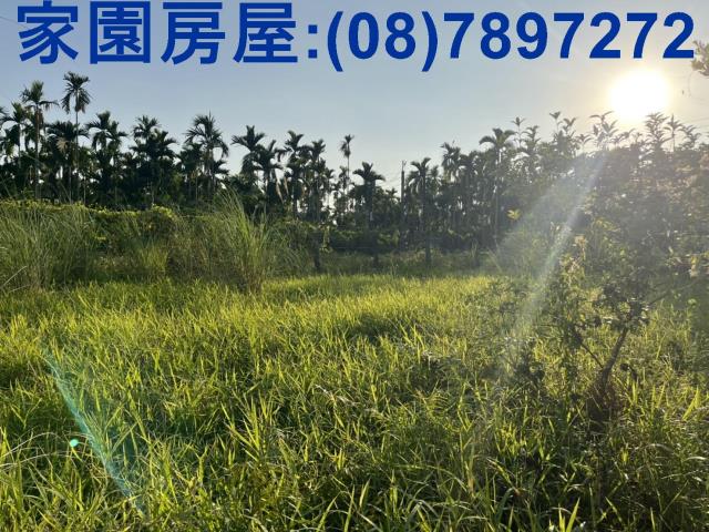 內埔農地-5