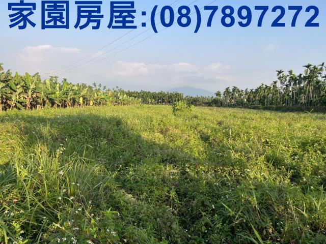 內埔農地-0