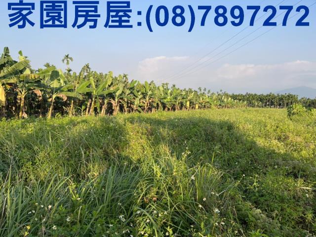 內埔農地-1