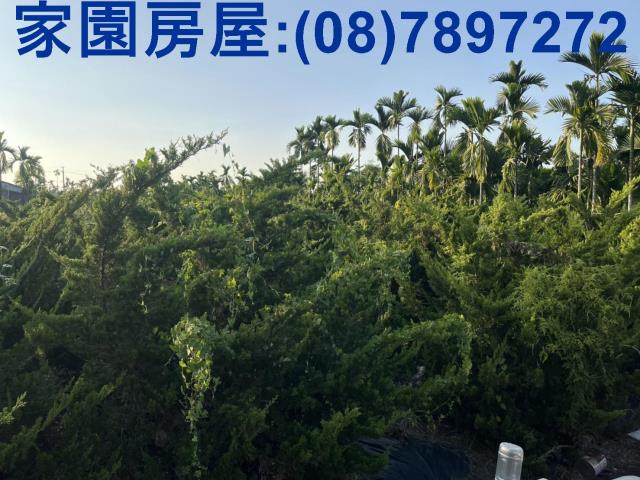 內埔農地-2