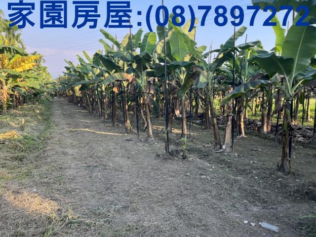 內埔農地-3