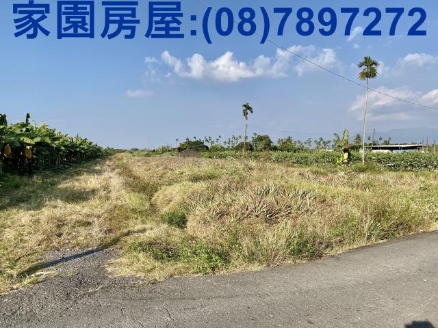 潮州農地-1