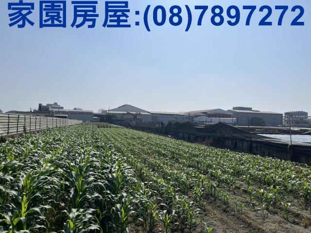 新園農地-3