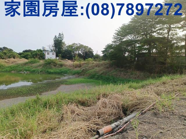 新埤農地-8