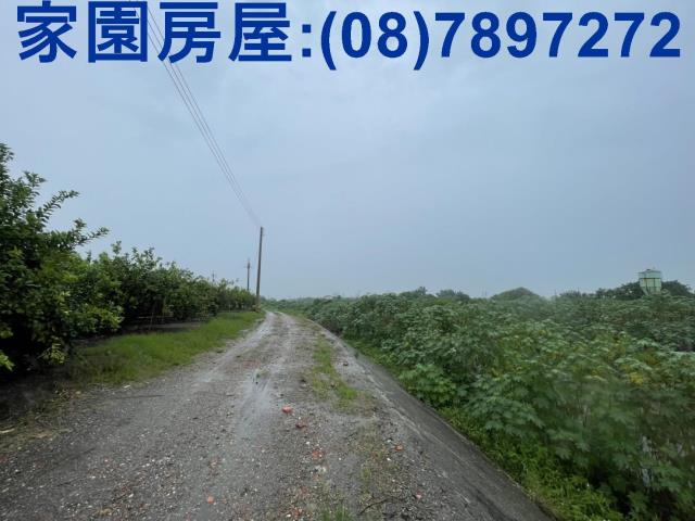 屏東農地-3