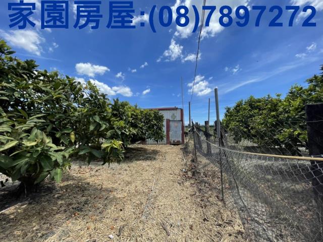 南州農地-2