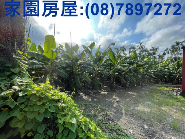 新埤農地-0