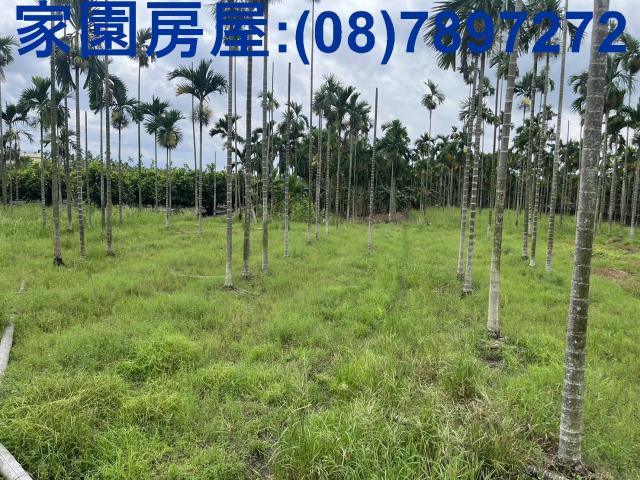新埤農地-0