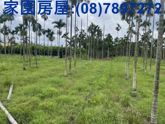 新埤農地-2