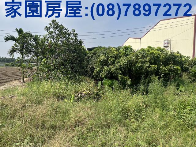 萬丹農地-2