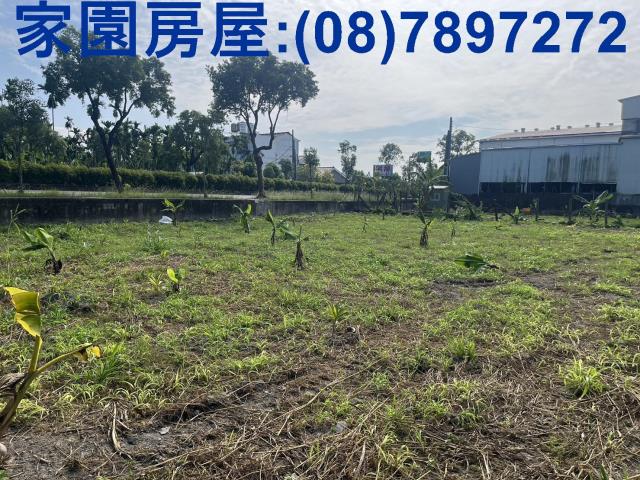 內埔農地-1