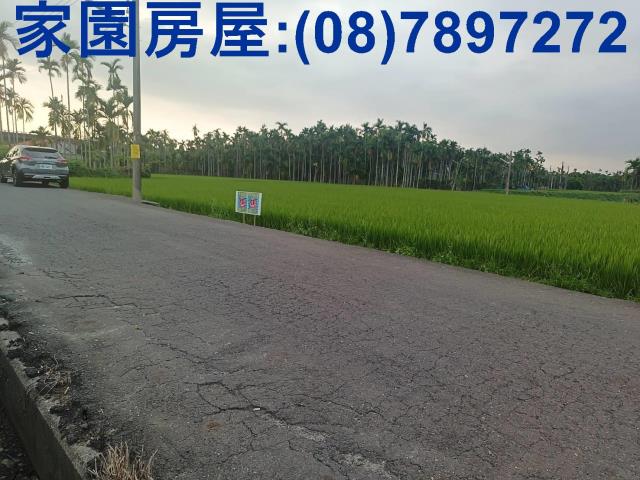 屏東農地-1