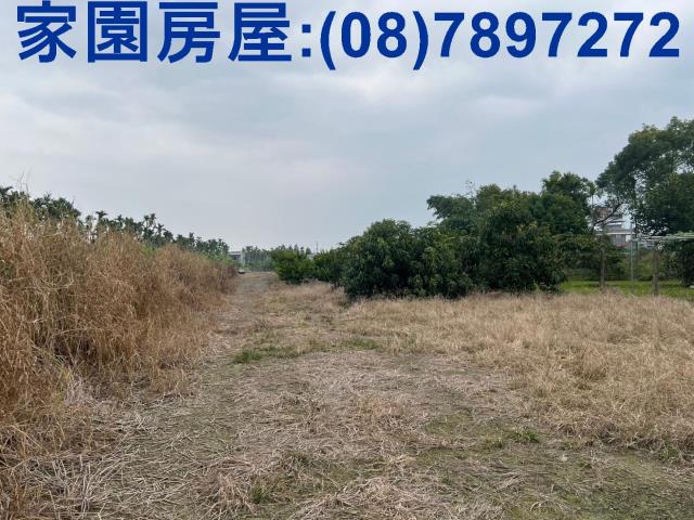 萬巒農地-0