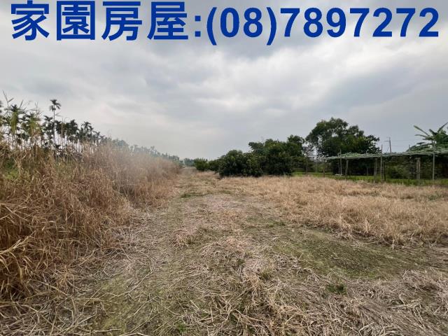 萬巒農地-1