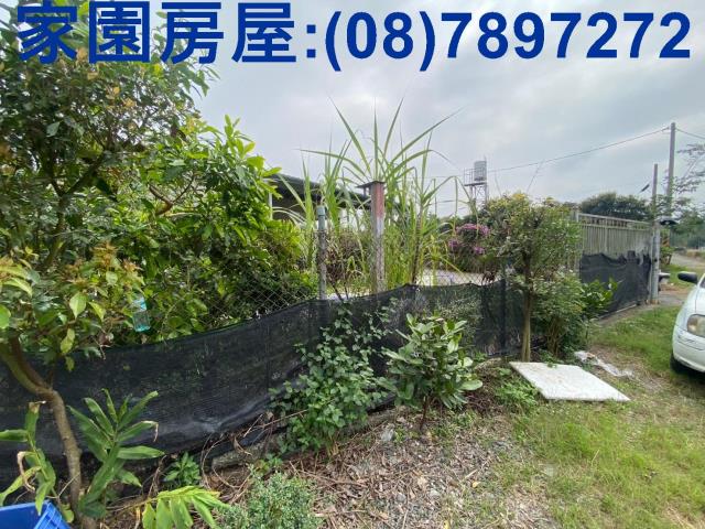 萬巒農地-2