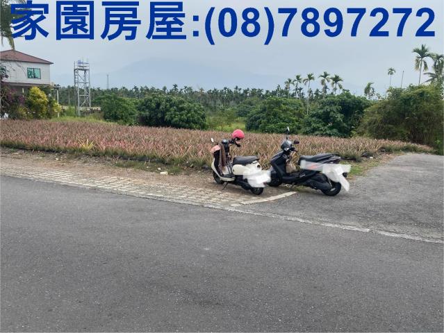 萬巒農地-0