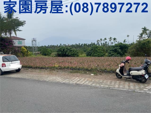 萬巒農地-3
