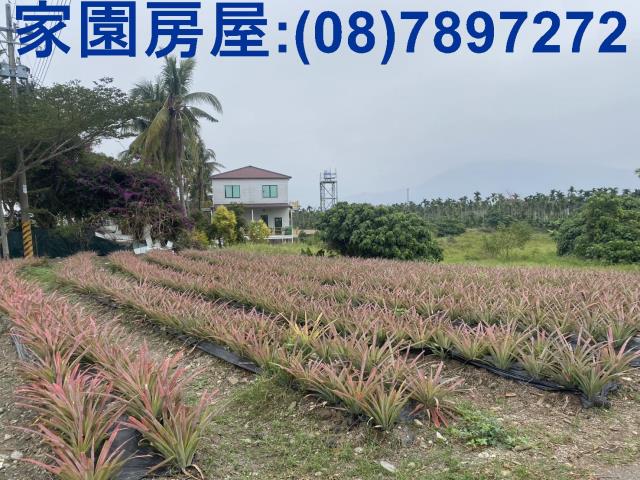 萬巒農地-6