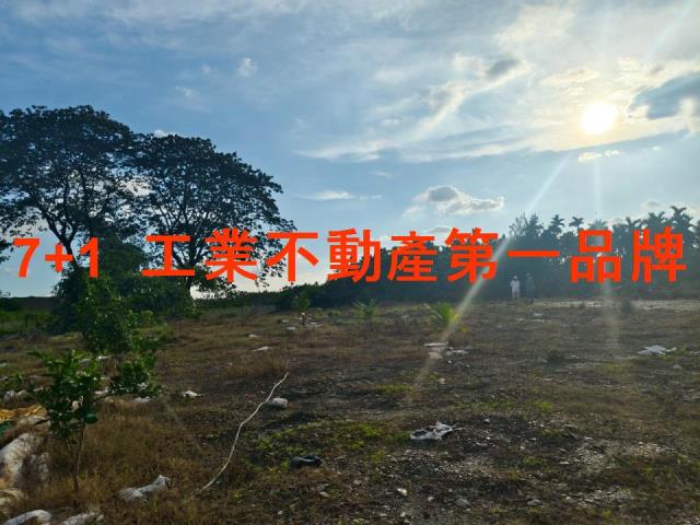 屏東高樹農地-1