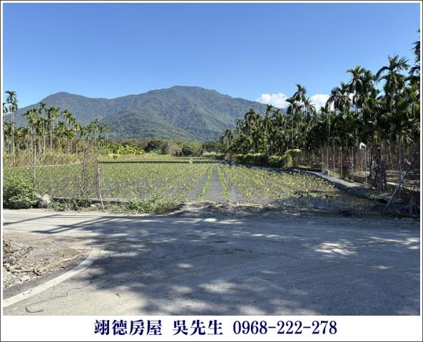 高樹農地-0