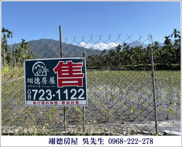 高樹農地-2