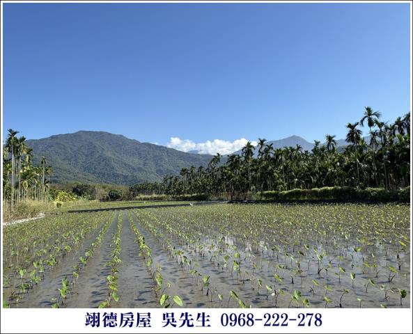 高樹農地-4