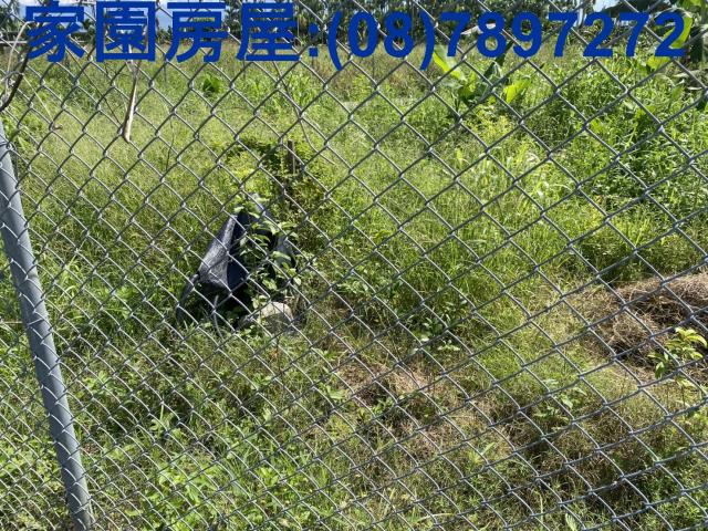 屏東萬巒農地-3