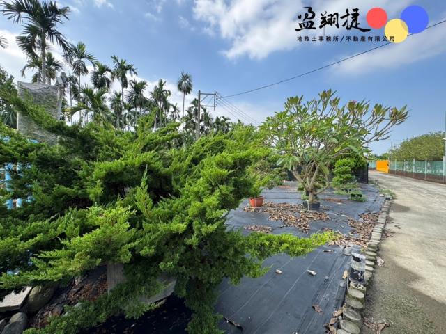 屏東農地-2