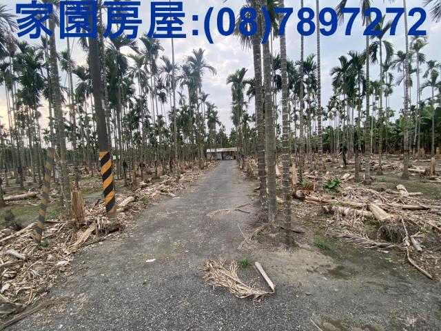 潮州農地-0