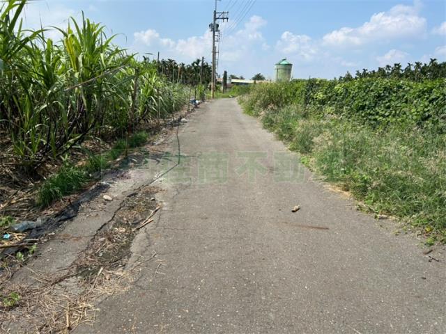 屏東農地-8