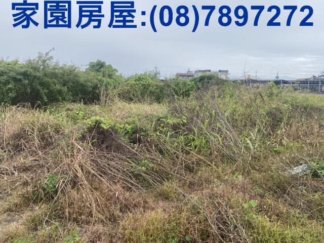 新園農地-1
