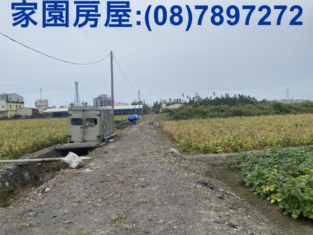 新園農地-2