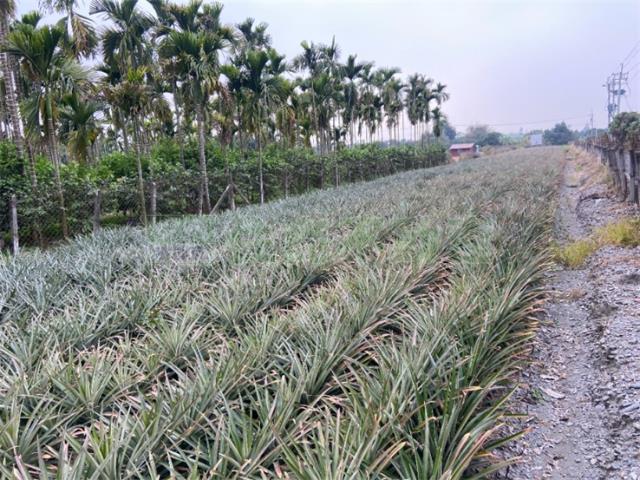 潮州農地-0