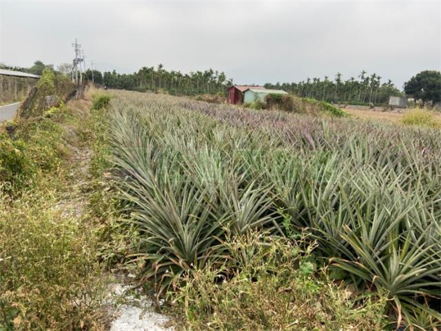 潮州農地-1