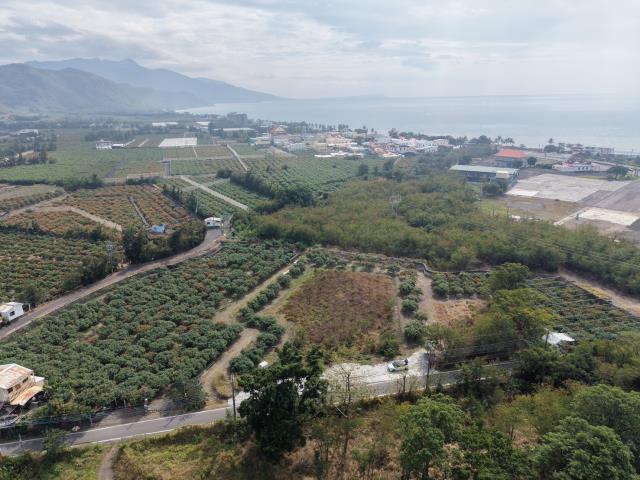 枋山農地-11