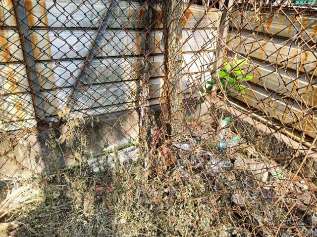 內埔農地-4
