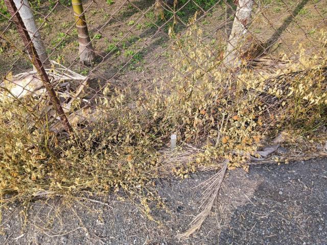 內埔農地-1