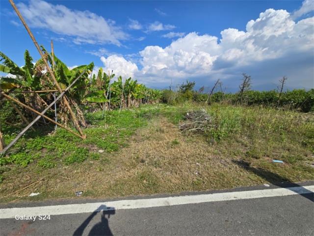 高樹農地-0