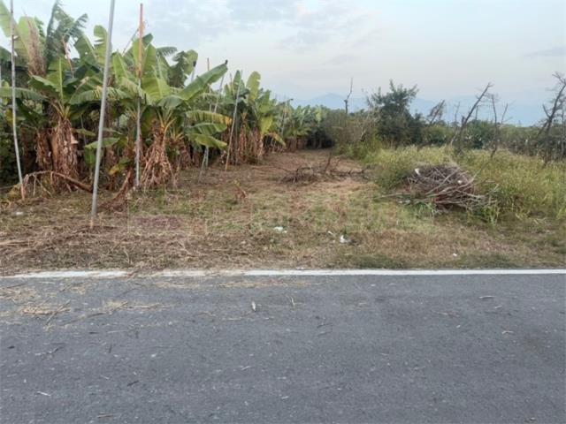 高樹農地-2