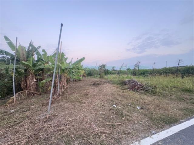 高樹農地-3