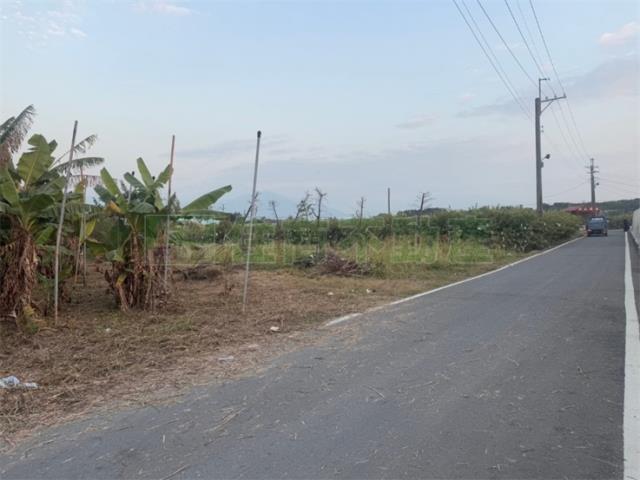 高樹農地-5