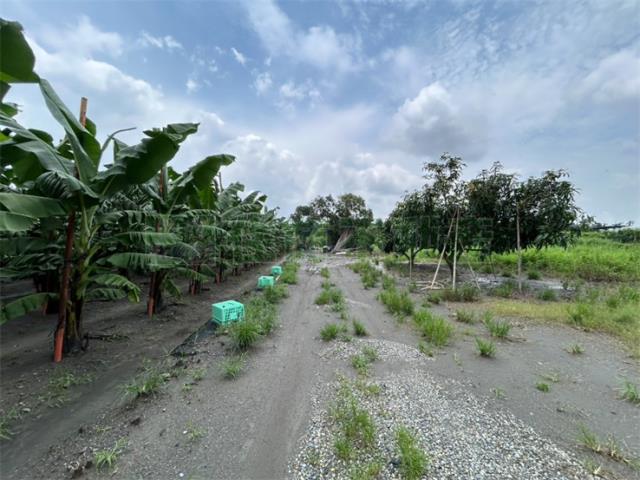 里港農地-1