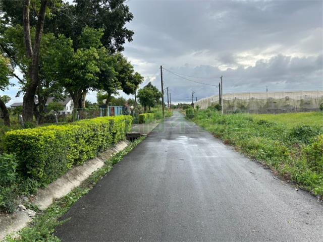 屏東農地-13