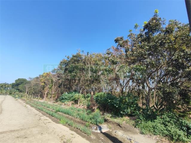 屏東農地-7