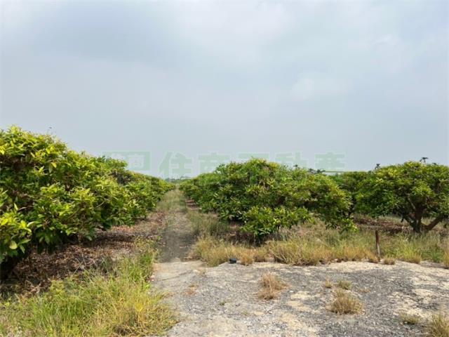 屏東農地-1